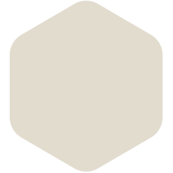 Breaker Beige T15 9.6