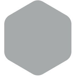 Thunder Paws T12 9.D12