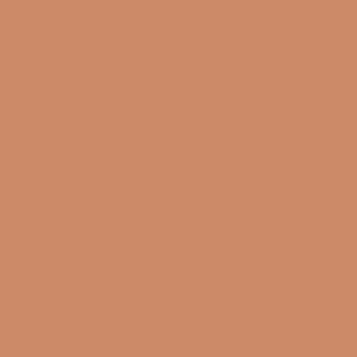 Coral Beige T12 20.F5