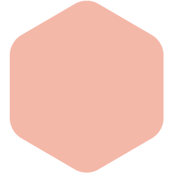 Fresh Salmon T15 194.2