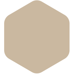 Dusty Trail T15 48.3